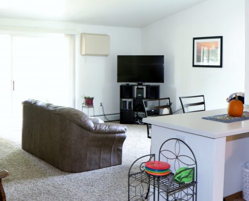 Spring Creek Villas interior